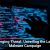 Adobe Firefly Launches Safe Video Generation Model